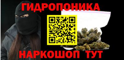 ГАЛЛЮЦИНОГЕННЫЕ ГРИБЫ Гусиноозёрск