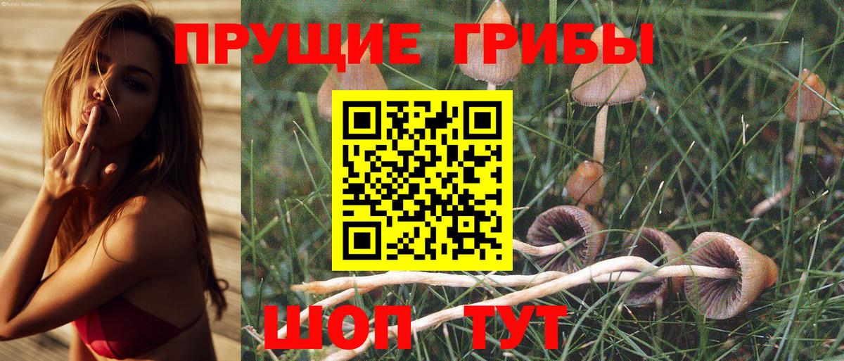 Псилоцибиновые грибы мухоморы  Псилоцибиновые грибы Psilocybine cubensis  Михайловск  Вход с VPN 