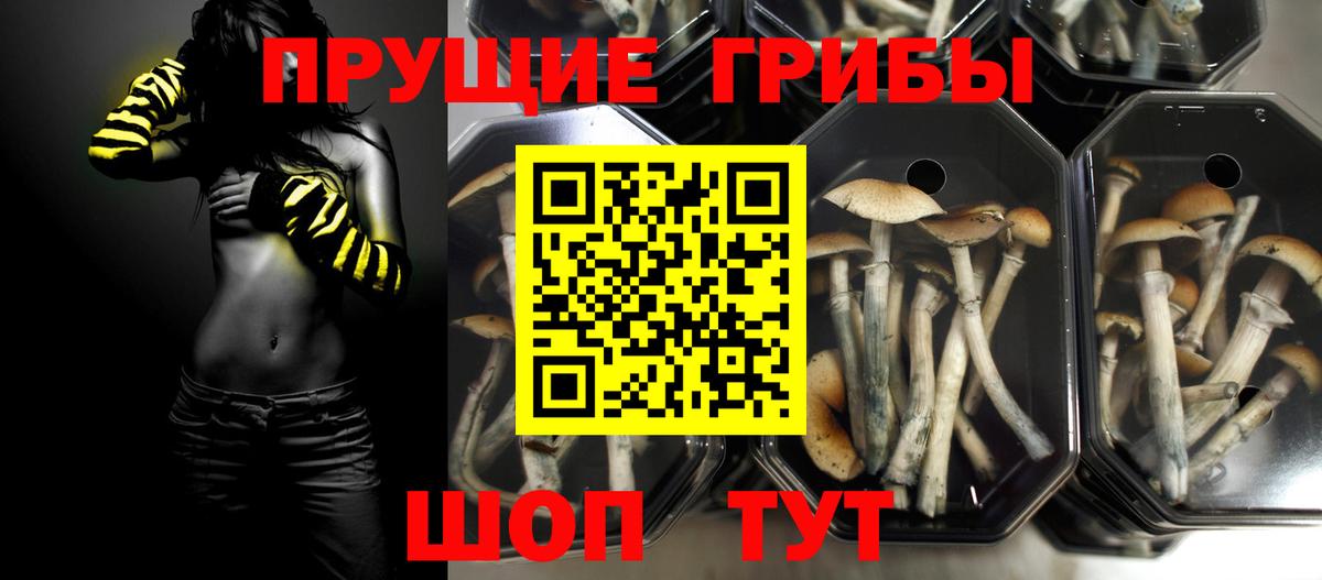 Галлюциногенные грибы мухоморы Михайловск